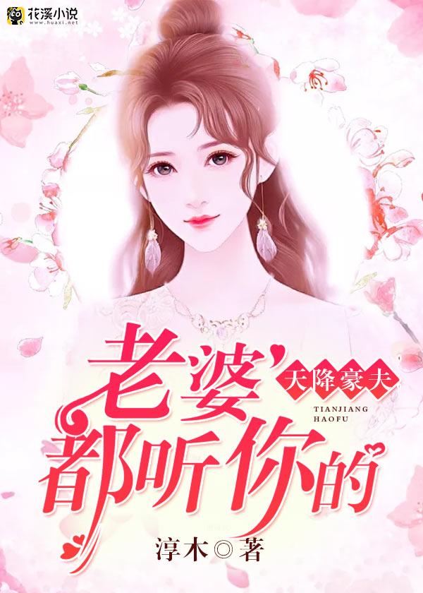 天降豪夫：老婆，都听你的 淳木著