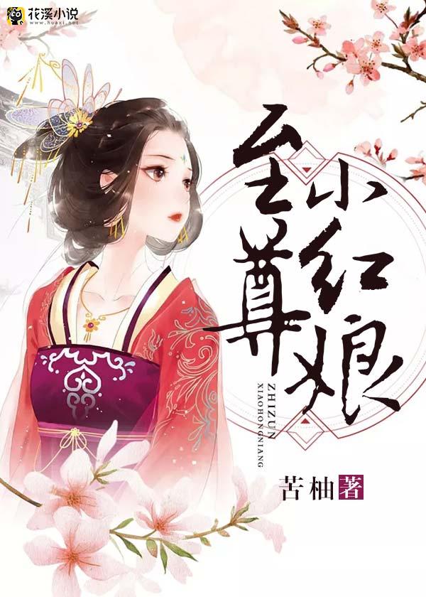 花溪小说