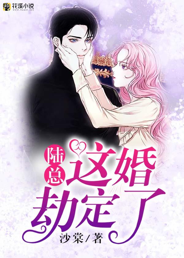 陆总，这婚劫定了 沙棠著