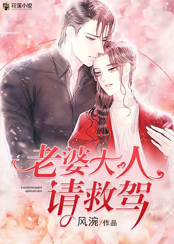 老婆大人请救驾 风涴著