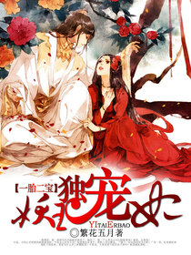 一胎二宝:妖王独宠妃-花溪小说