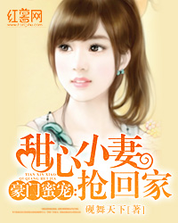 花溪小说